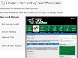 Wordpress Multisite and CMS