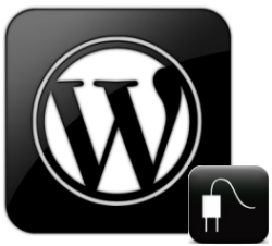 Wordpress plugins support