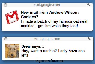 Gmail Chat and Email Desktop Notifications