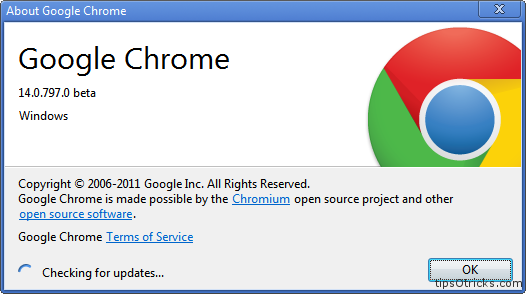 Google Chrome 14 screenshot