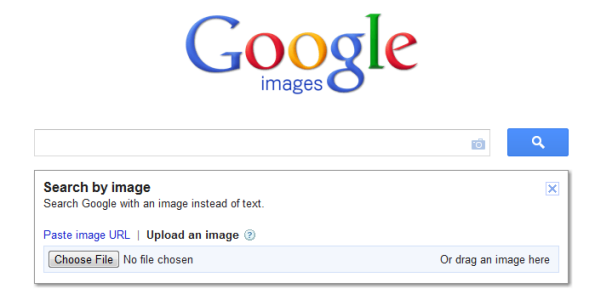 Google Reverse Image Search