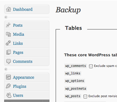 Wordpress backup and restore