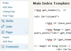 Editing Code in Wordpress