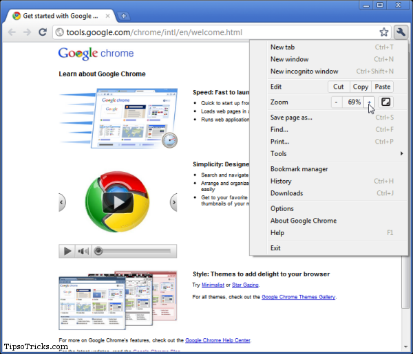 Google Chrome 8 screenshot