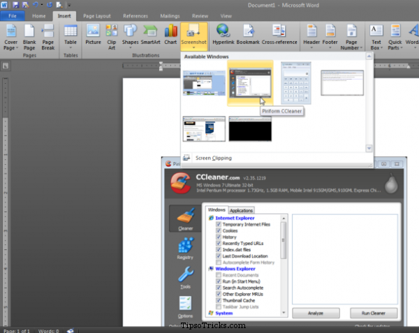 MSWord Screenshot Capture Tool