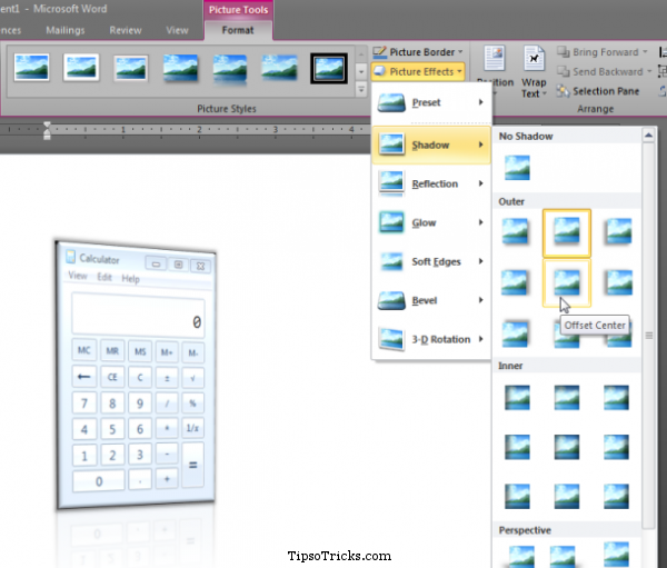 MSWord Screenshot Capture and Edit