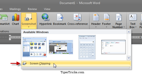 MSWord Screenshot Clipping Tool