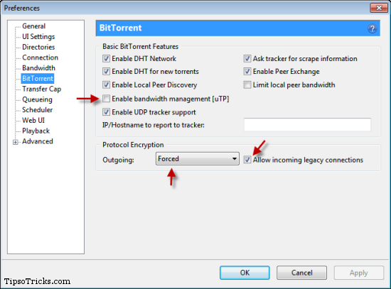 uTorrent Protocol Encryption