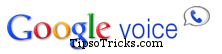 Google Voice logo