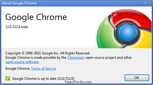 Google Chrome 12 screenshot