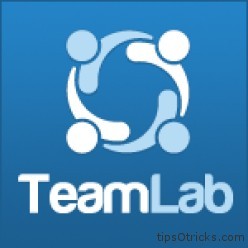 Teamlab logo