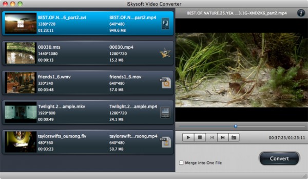iSkysoft Video converter for Mac