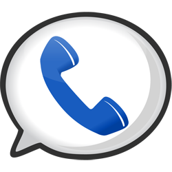 Google VOICE